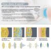 Cryolipolysis Machine 360 Fat Freeze Body Slimming Equipment 4 handles